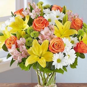 Meet your Posher, Lana